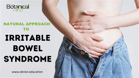 irritable bowel syndrome a natural approach PDF